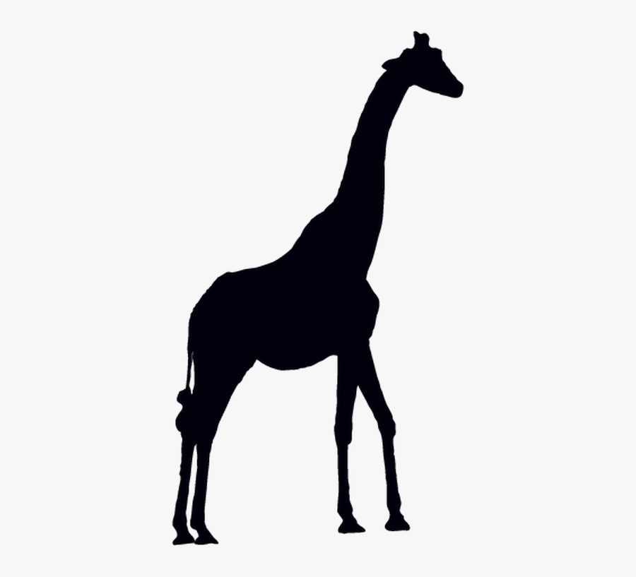 Giraffe Vector Graphics Clip Art Antelope Animal Silhouettes - Wild Animals Silhouette Png, Transparent Clipart