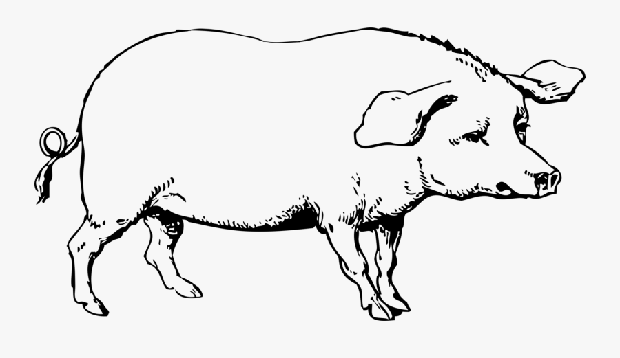 Hog Clipart Black And White, Hd Png Download - Hog Clipart Black And White, Transparent Clipart
