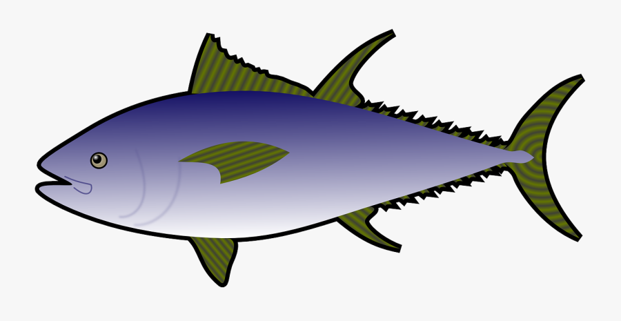 Fish,ocean,sea Life,sea Animal,free Vector Graphics,free - Tuna Fish Clipart, Transparent Clipart