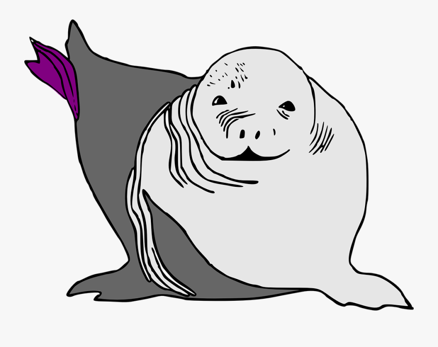 Seal Clipart Ocean - Sea Lion Cartoon, Transparent Clipart