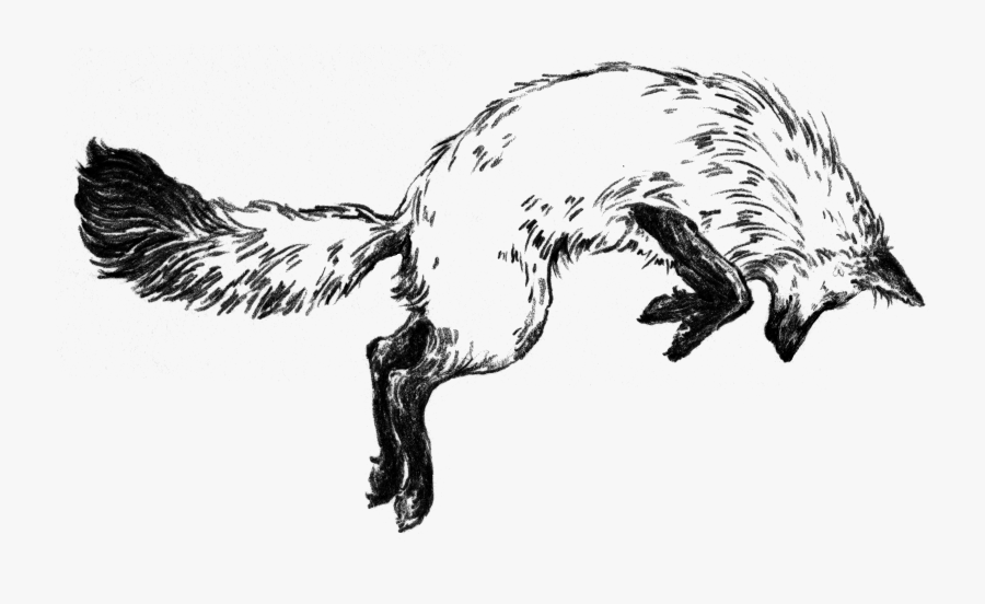 Fox In The Snow Cafe Logo, Transparent Clipart