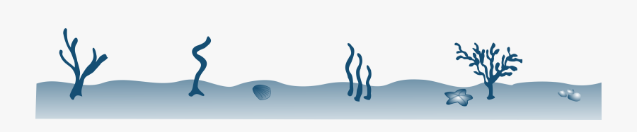 Difference Between Turtle And Tortoise In Hindi, Transparent Clipart