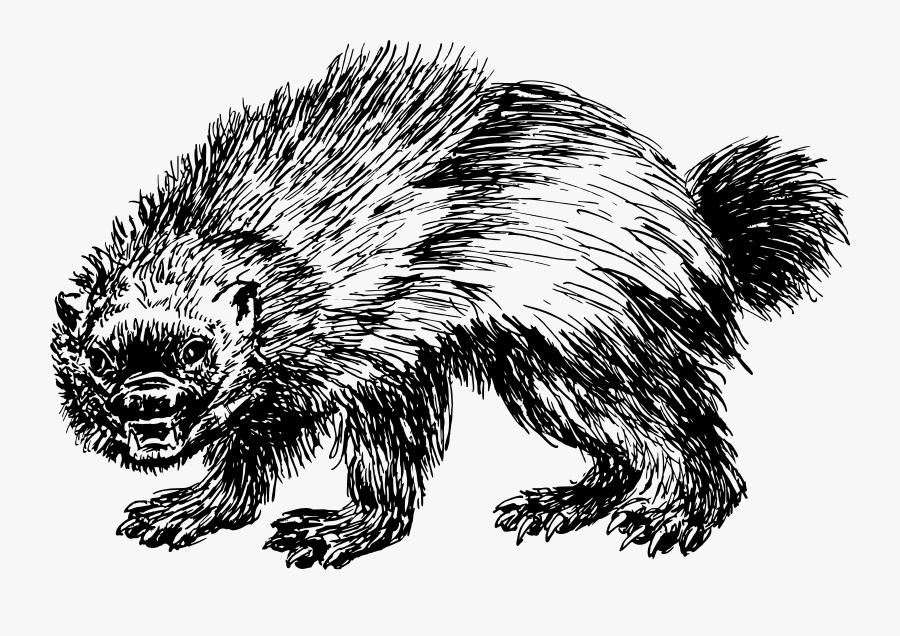 Wolverine Clipart Cat Claw - Transparent Wolverine Clipart Animal, Transparent Clipart