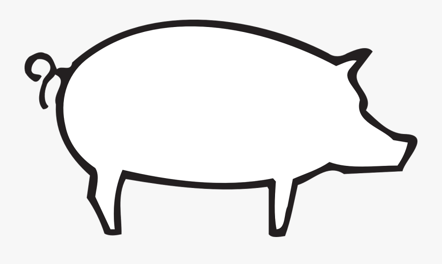 Barn Farm Pig Animal - White Pig Vector Png, Transparent Clipart
