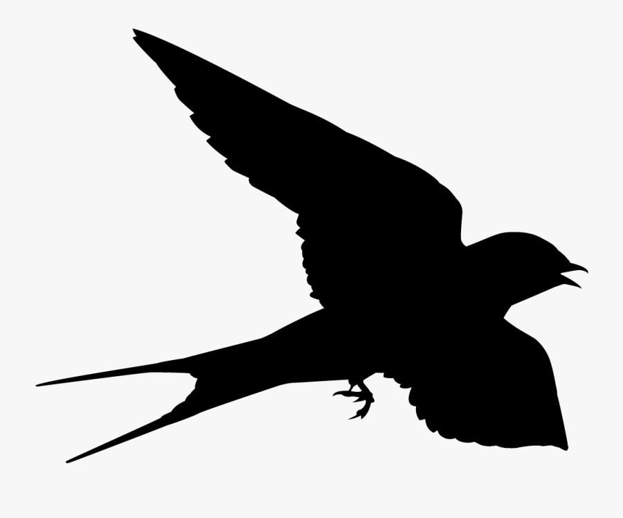 Barn Swallow Overview, All About Birds, Cornell Lab - Swallow Png, Transparent Clipart