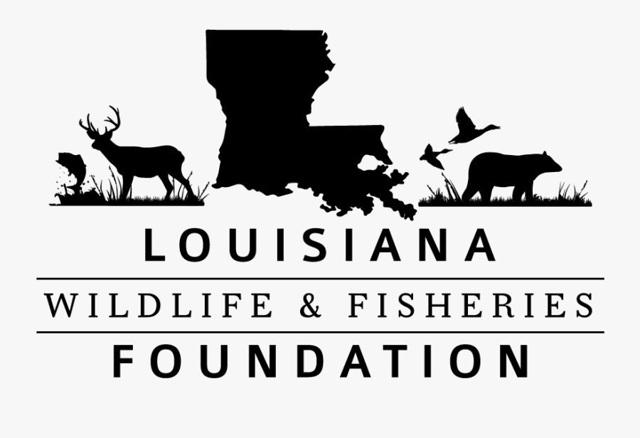 Louisiana Wildlife And Fisheries Foundation - Wildlife Silhouette Clipart Free, Transparent Clipart