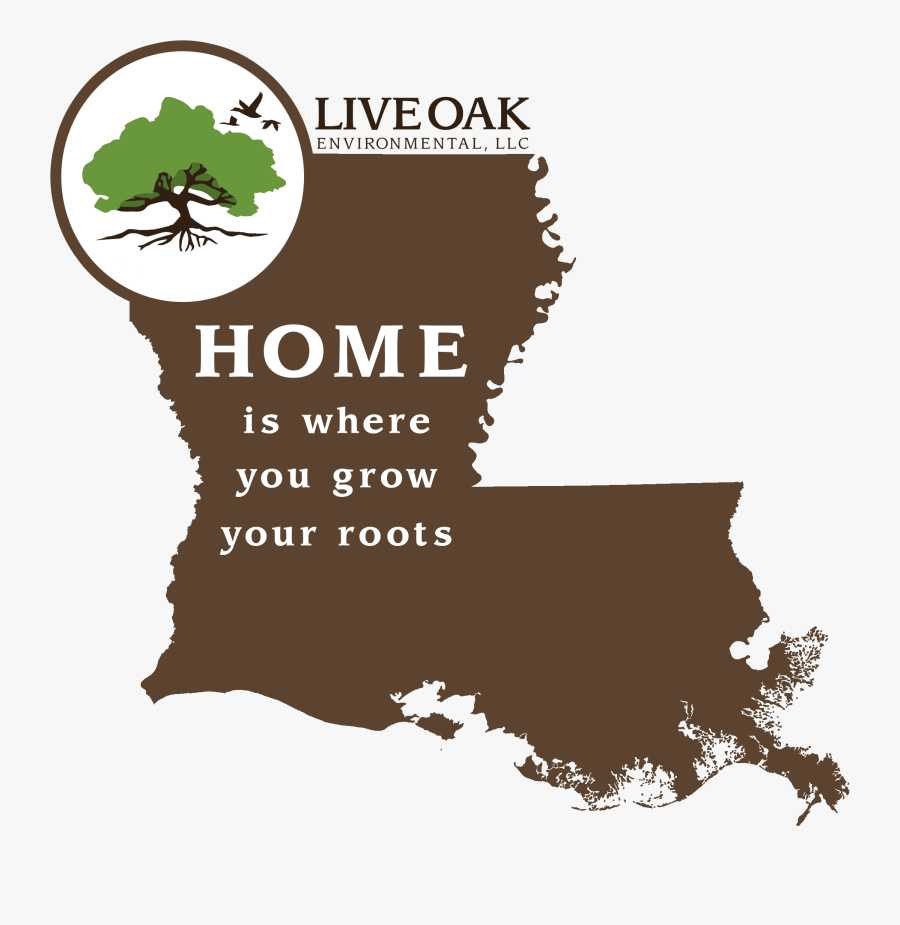 Download Contact Us Map - Louisiana Vector, Transparent Clipart