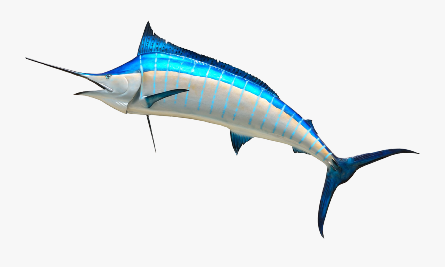 Transparent Swordfish Clipart - Arnold High School Marlin, Transparent Clipart