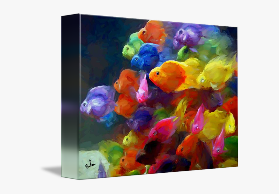 Clip Art School By Tom Sachse - Beautiful Fish, Transparent Clipart