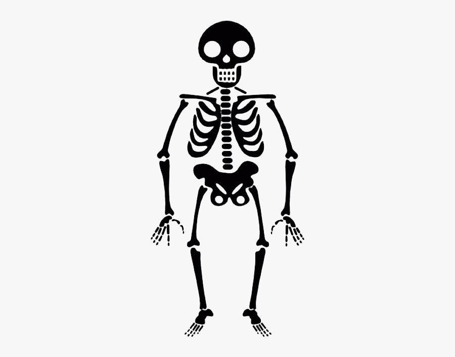 Skeleton, Skulls Png Images Free Download - Skeleton Transparent, Transparent Clipart