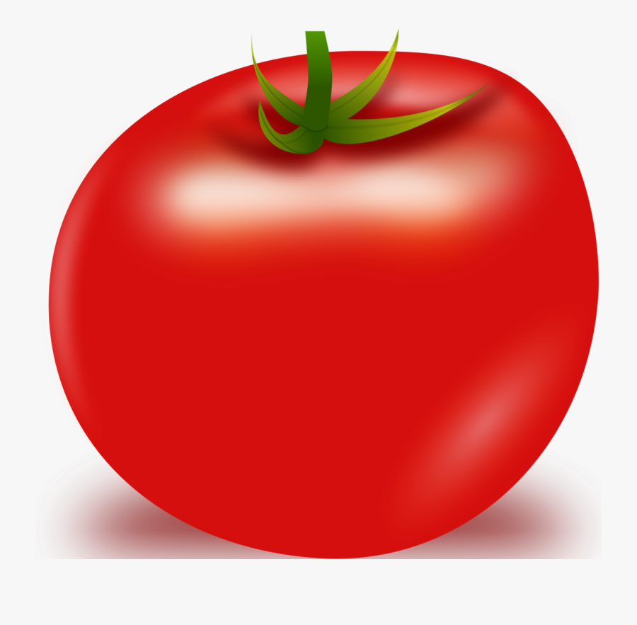 Tomato Vector - Vegetable Single Picture Clipart, Transparent Clipart