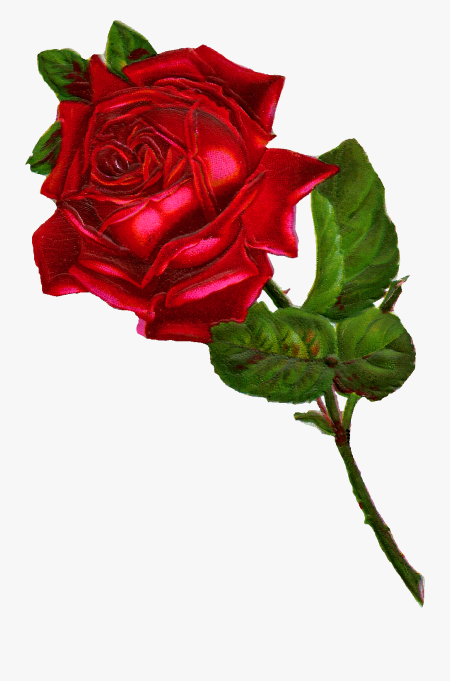 Roses Clipart Vintage - Transparent Vintage Red Rose, Transparent Clipart