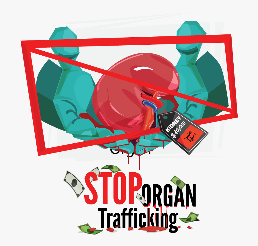 Stop Trafic D Organe, Transparent Clipart