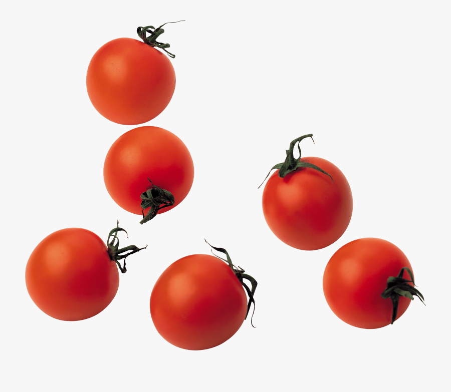 Download Tomato Png Image Hq Png Image - Cherry Tomato Transparent Png, Transparent Clipart