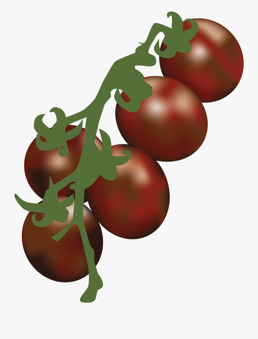 Library Popular Guide Part Steemit - Illustration, Transparent Clipart