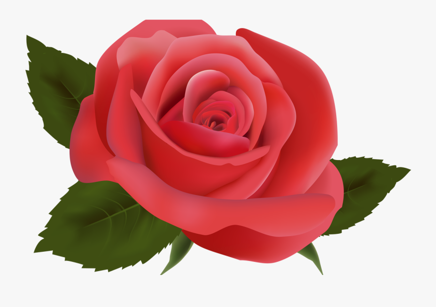 Red Rose Png Image Clipart Deseos De Migdalia Pinterest - Flores Fucsias Png, Transparent Clipart