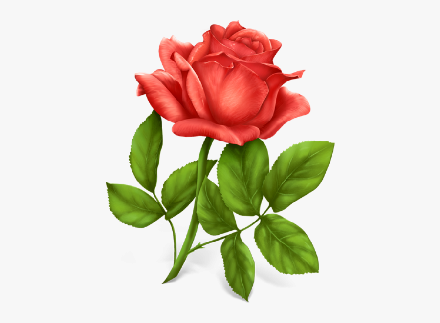 Red Rose With Leaves Clipart Free Png Download - Rose Ico, Transparent Clipart