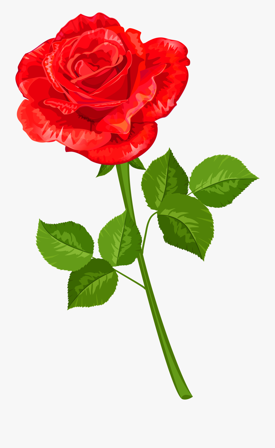 Transparent Roses Clipart, Transparent Clipart