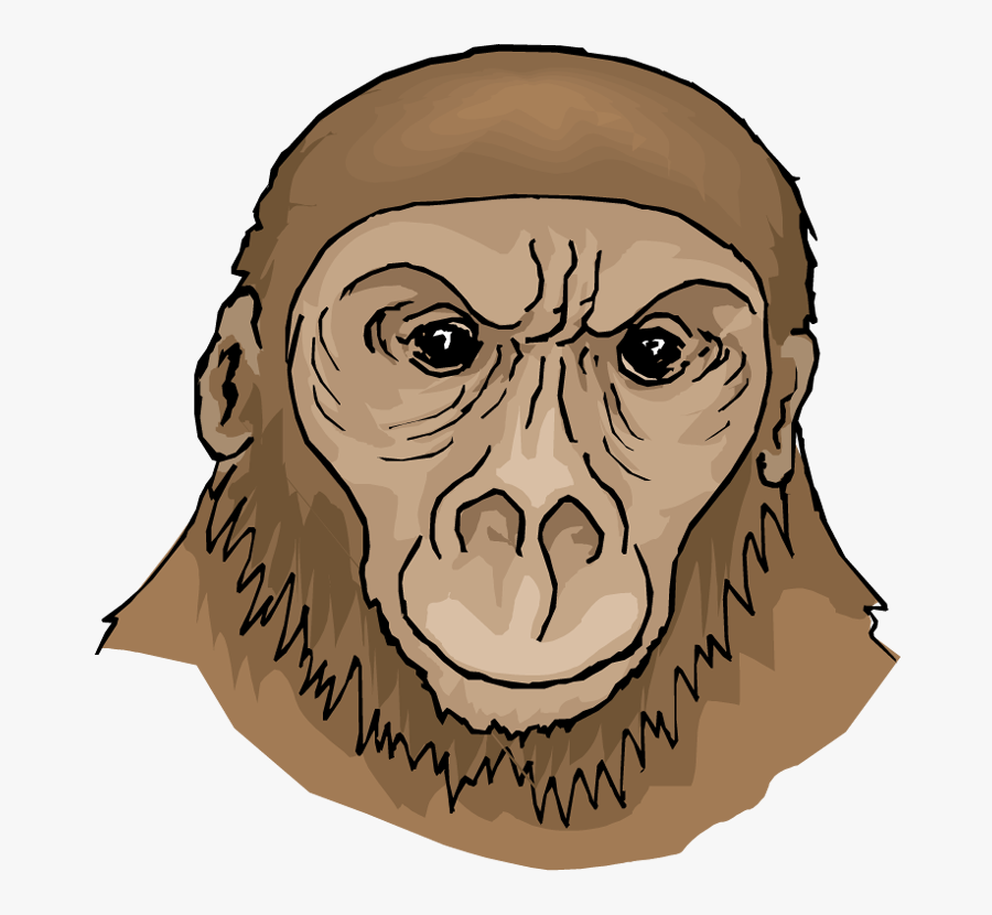 Free Ape Clipart - First Apes Ape Clipart, Transparent Clipart