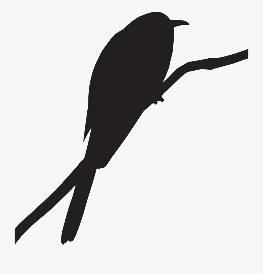 Bird Clip Art Cornell Lab Of Ornithology Greater Roadrunner - Black And White Cuckoo Bird, Transparent Clipart
