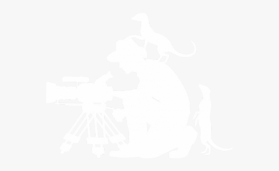 Wildlife Observations, Transparent Clipart