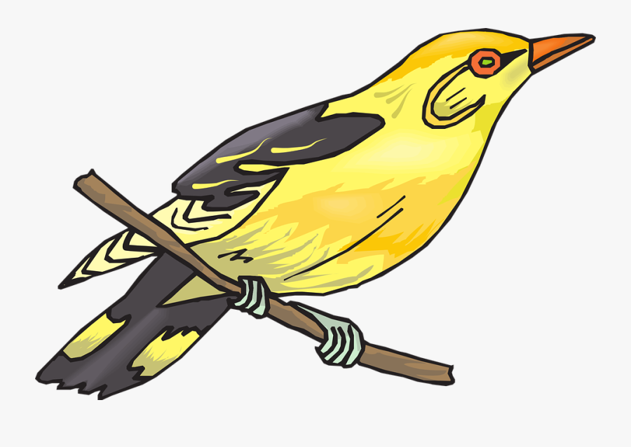 Slime Clipart Yellow Slime - Finch Clip Art, Transparent Clipart