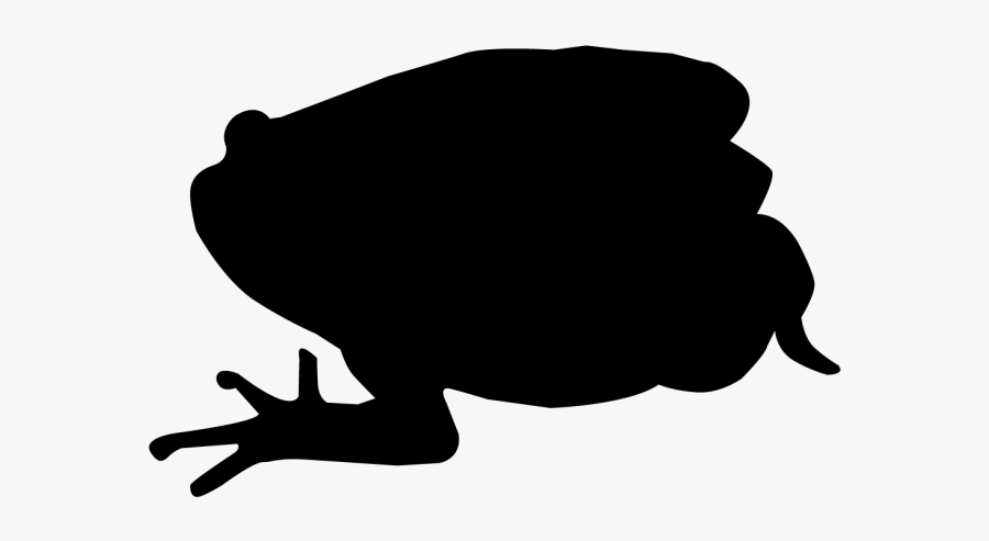 Related Pictures White Frog Silhouette With Black Background - Silhouette, Transparent Clipart