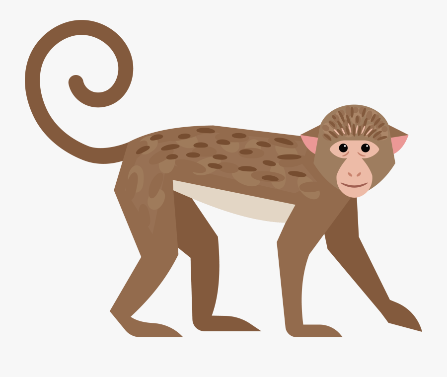 Vector Free Library Cute Little Transprent Png - Monkey Tail Clipart, Transparent Clipart