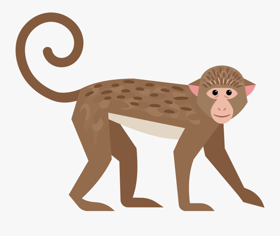 Vector Free Library Cute Little Transprent Png Monkey Tail Clipart vector-free-library-cute-little-transprent-png-monkey-tail-clipart