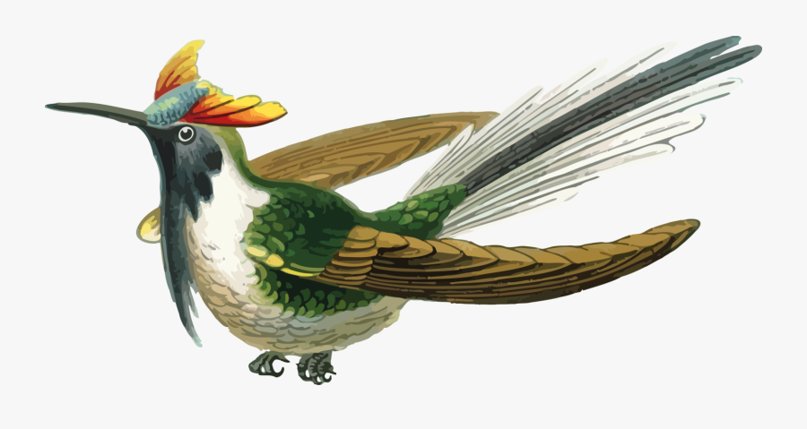 Wildlife,pollinator,bird - Con Chim Vẻ Mặt Sợ Hãi Vector, Transparent Clipart