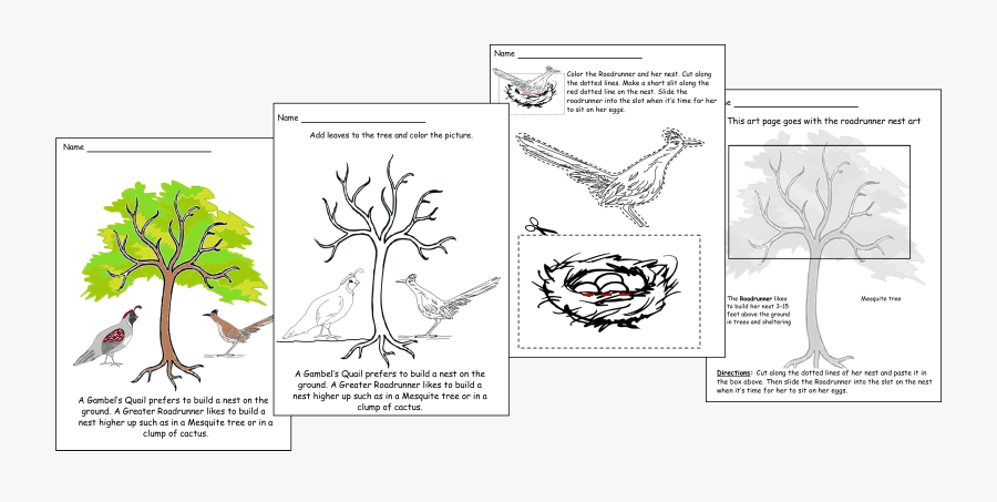 Black And White Drawings About The Greater Roadrunner- - Cartoon, Transparent Clipart