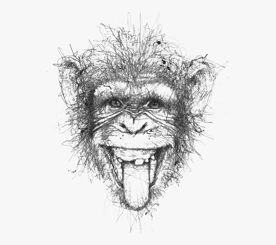 Vince Low Animal, Transparent Clipart