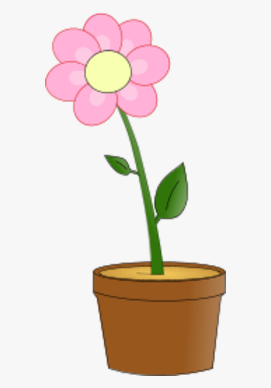 Flower With Leaves In A Planting Pot - Flower In A Pot, Transparent Clipart