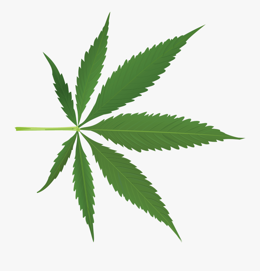 Transparent Marijuana Leaf Silhouette Png - Cannabis Leaf Png, Transparent Clipart