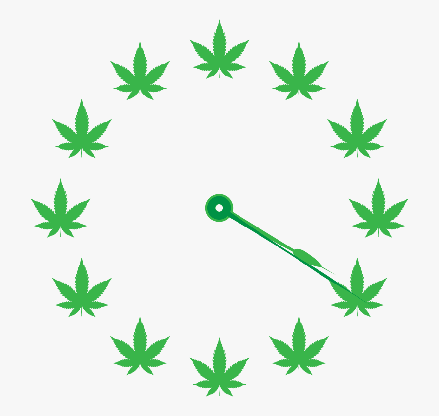 European Computer Driving Licence Marketing Organization - Stars Around A Circle, Transparent Clipart