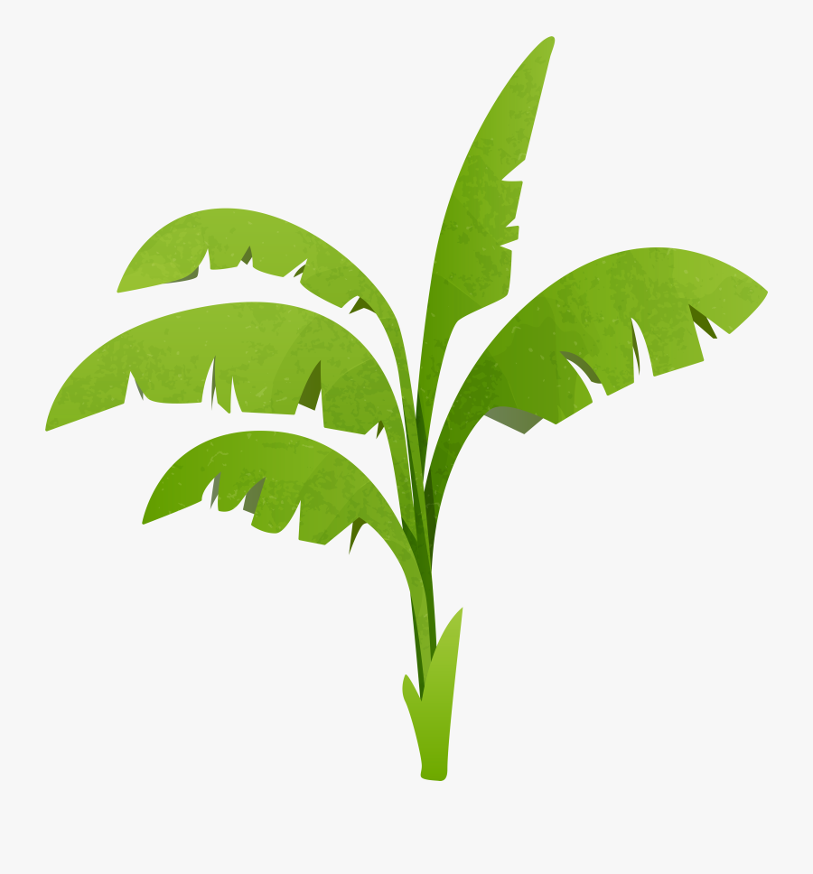 Plant Clipart Green - Plant Clip Art Png, Transparent Clipart