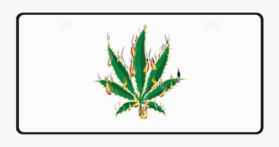 Flaming Marijuana Leaf License Plate - Emblem, Transparent Clipart