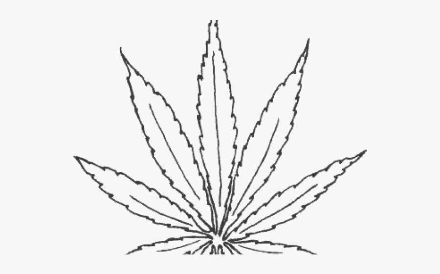 Cool Drawn Pot Leaf, Transparent Clipart