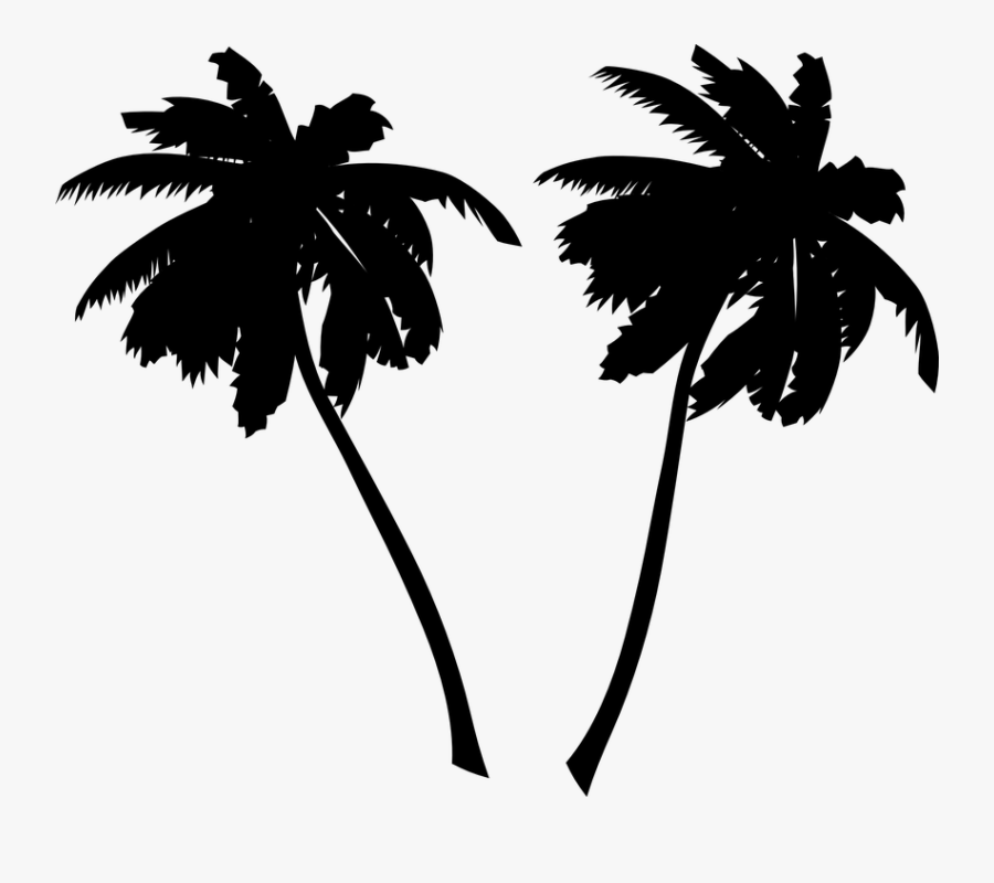 Vector Palm Tree Png, Transparent Clipart