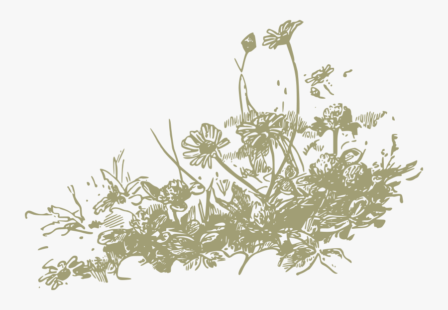 Wildflowers - Wildflower Clip Art, Transparent Clipart