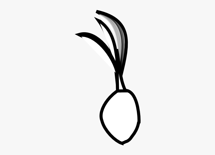Collection Of Coconut - Seed Black And White Png, Transparent Clipart