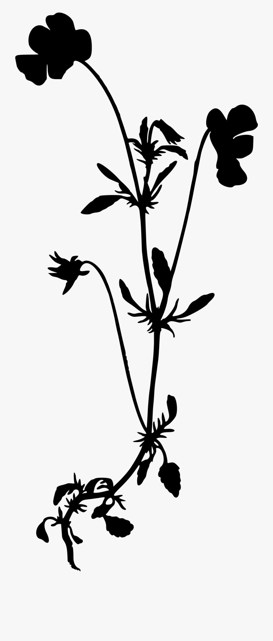 Heartsease Silhouette Big Image Png Silhouette Of A- - Wild Flowers Transparent Png, Transparent Clipart