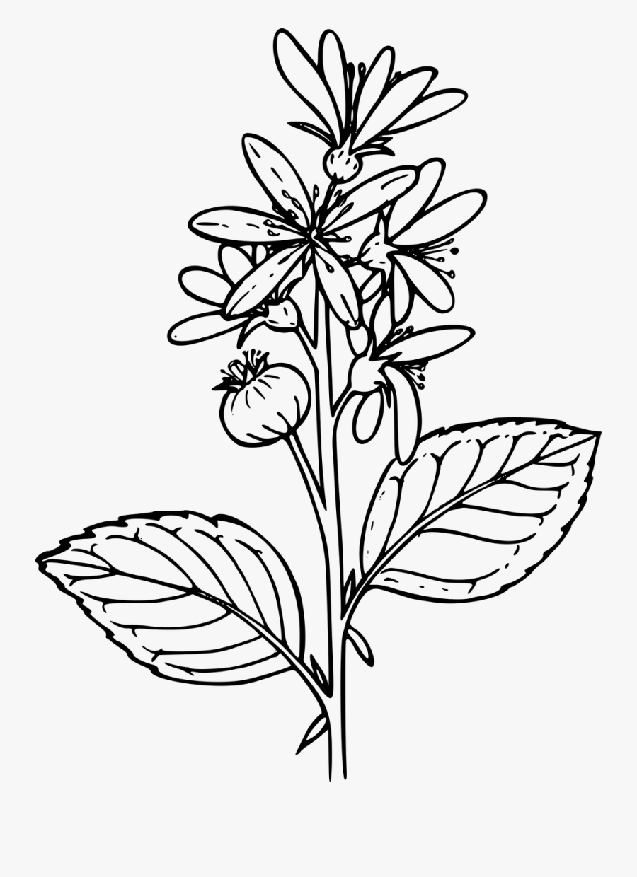 Salon Appointment Card Templates, Transparent Clipart