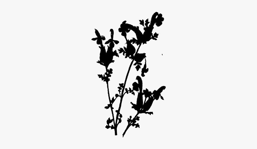 Transparent Wildflower Clipart, Wildflower Png Image - Silhouette, Transparent Clipart
