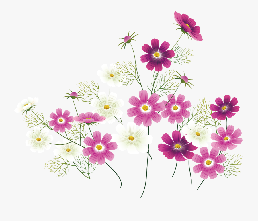 Transparent Wild Flower Clipart - Pink Wildflower Clipart, Transparent Clipart