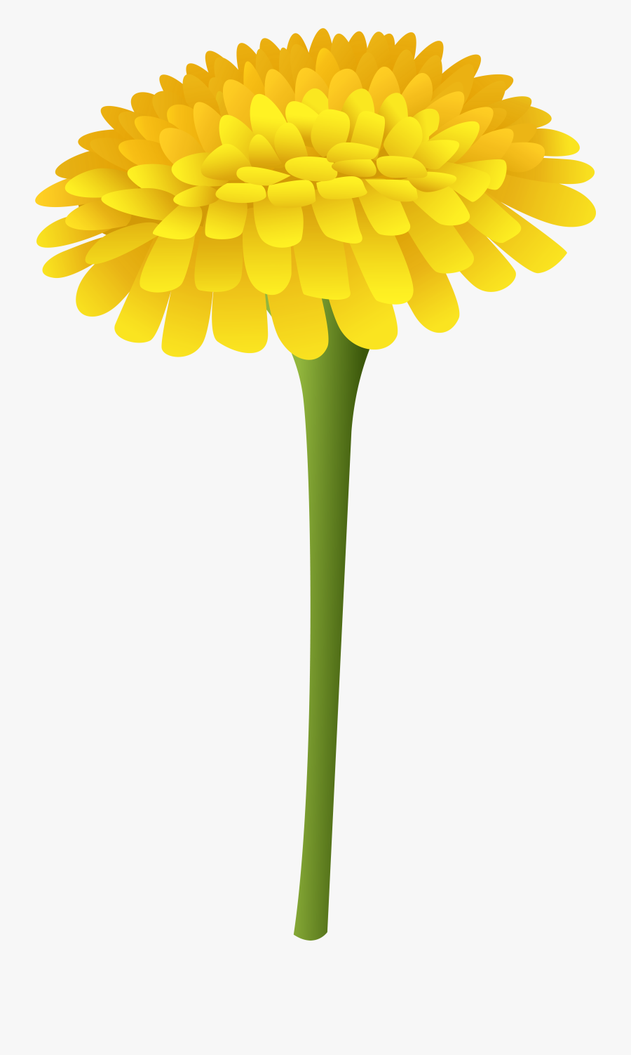 Transparent Wildflower Png - Marigold Flower Clipart Png, Transparent Clipart