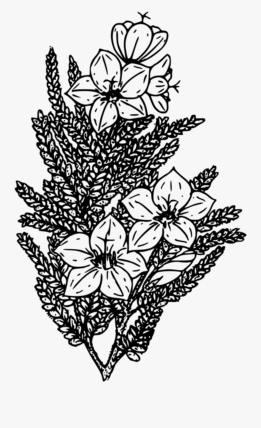 Art,symmetry,monochrome Photography - Coloring Book, Transparent Clipart