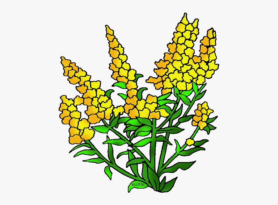 Wild Flower Clipart - Goldenrod Clipart, Transparent Clipart
