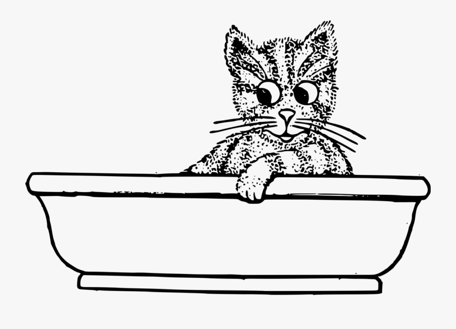 Transparent Wildcat Cartoon Clipart - Cat In The Tub Clipart Black And White, Transparent Clipart
