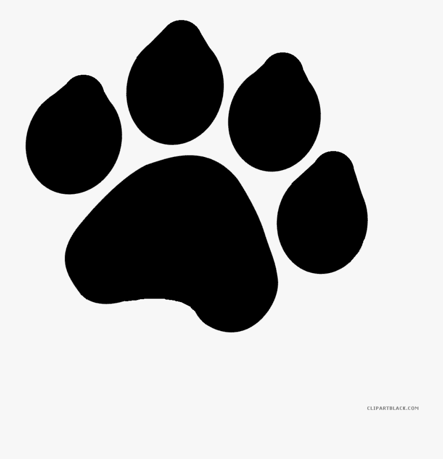 Transparent Paw Print Trail Png - Tiger Paw Drawing, Transparent Clipart